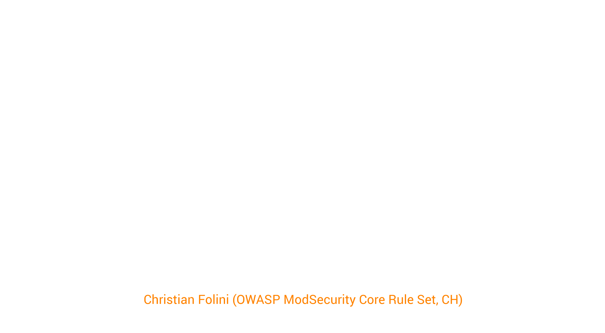 Never Walk Alone: Inspirations From a Growing OWASP Project