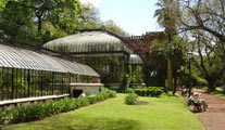 Palermo, Jardín Botánico