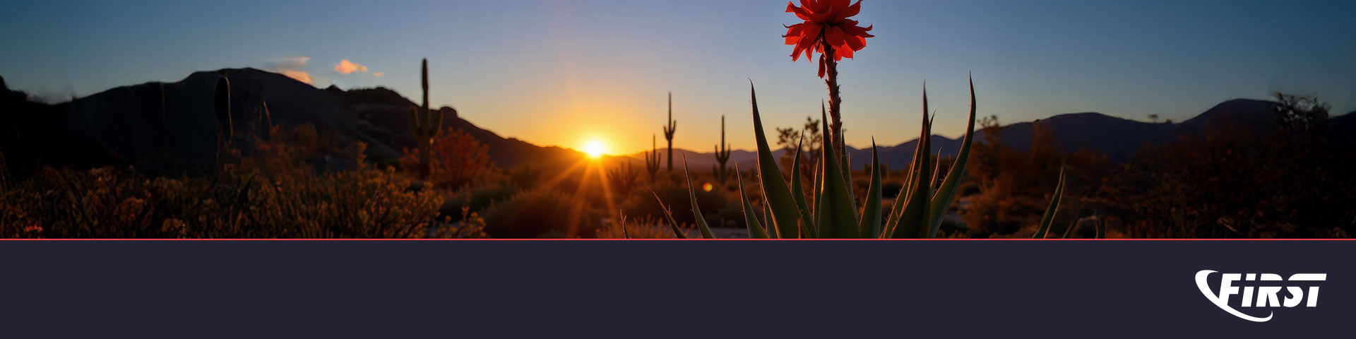 CVE/FIRST VulnCon 2026 & Annual CNA Summit