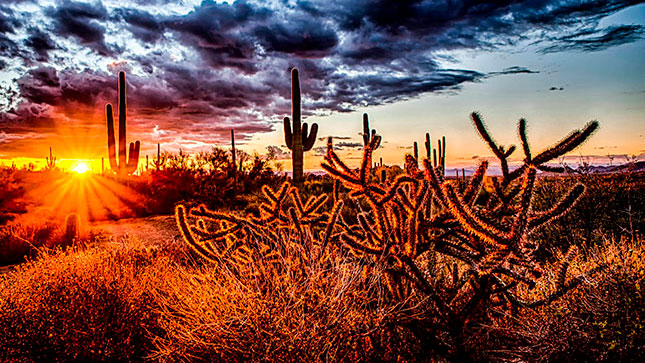 Scottsdale