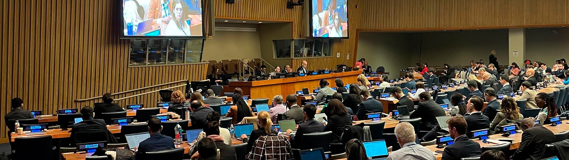 Policy Engagement at the UN OEWG 2025