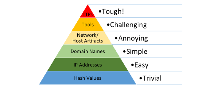 Direction, Collection, Processing, Analysis, Dissemination, Feedback (Review)