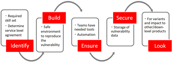 Vulnerability Verification/Reproduction