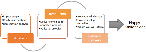 Remediation Process for the Reported Vulnerability