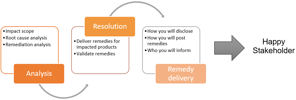Remediation Process for the Reported Vulnerability